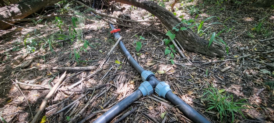 10 Bedroom Property for Sale in Skeerpoort North West